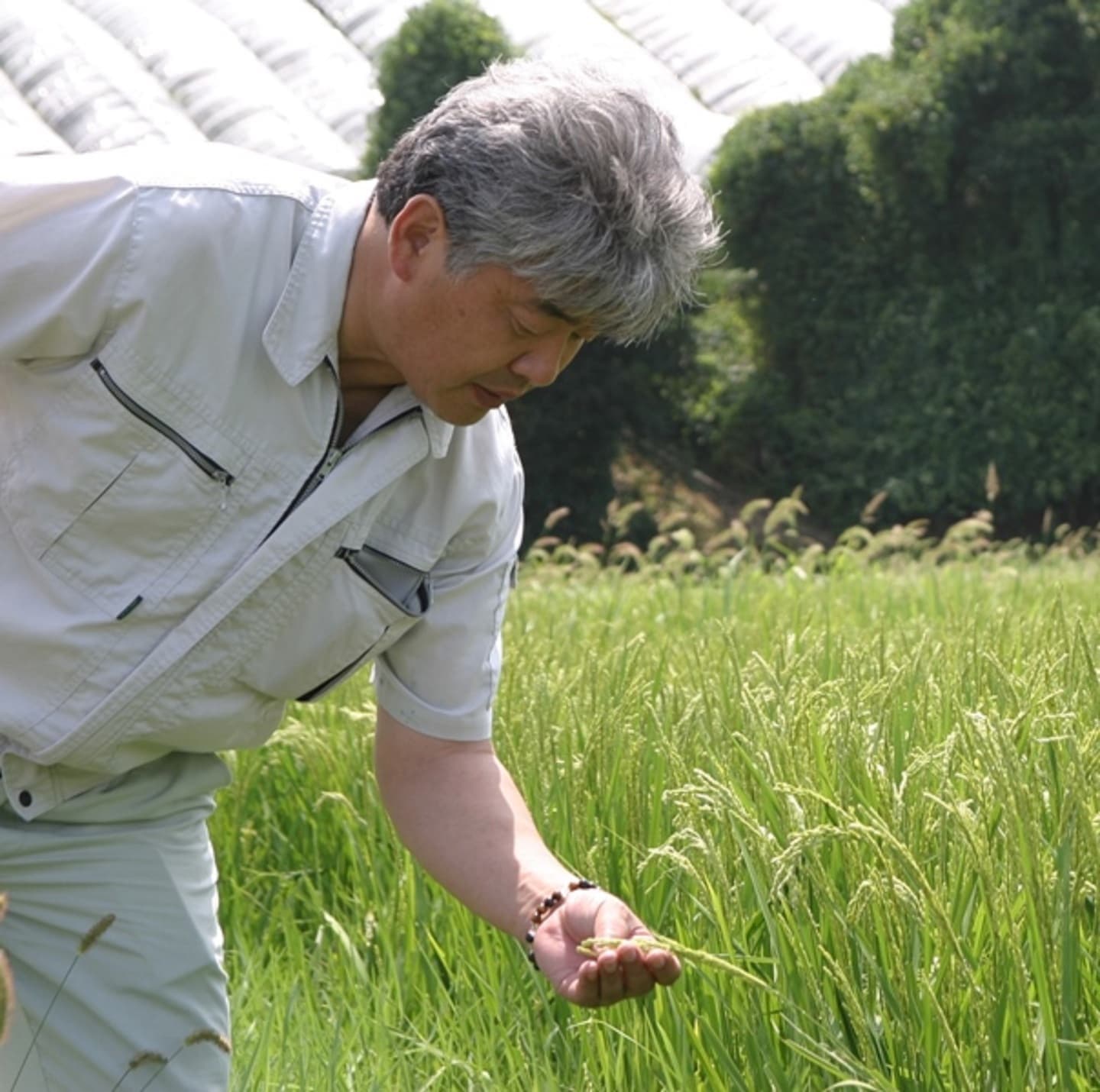 写真｜酒井正光